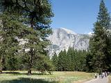 Yosemite Valley 01 : Vermont Canoe Spring